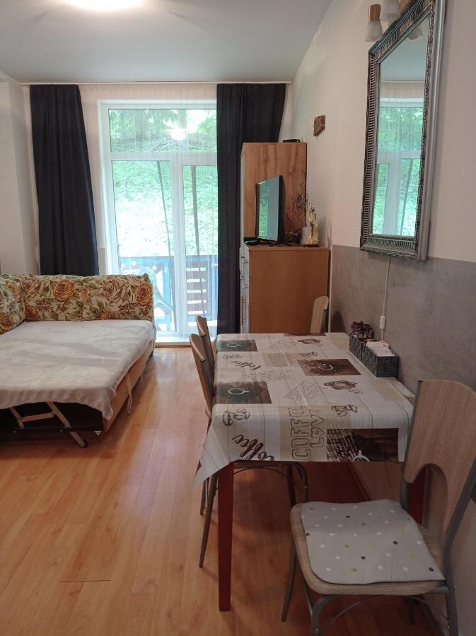 Apartman Safran Доновалы Экстерьер фото